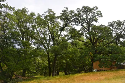 DSC_6824 (Large).JPG